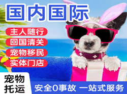 揭阳潮汕空运国际宠物托运 【国